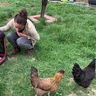 Your chickens deserve a preparedness plan too!