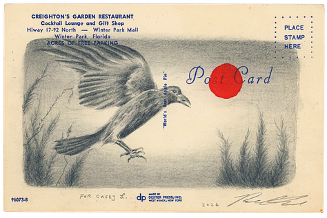 pencil drawings of animals and nature scenes on vintage postcards