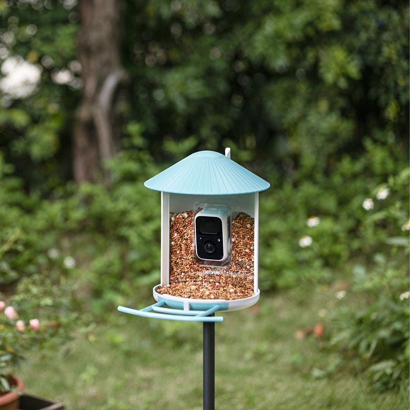 Netvue birdfy feeder lite + solar - Feed, watch and record birds Netvue birdfy feeder lite + solar - Feed, watch and record birds