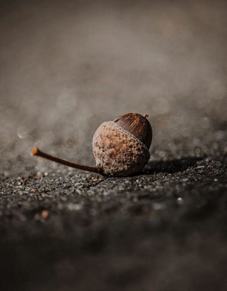 No photo description available. No photo description available.