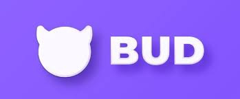 Metaverse-Based Social Platform BUD Raised $15M in A+ Round of Financing  Followed by Sky9 Capital - Sky9 Capital 云九资本
