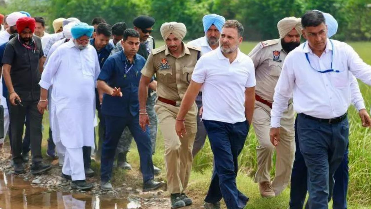 Punjab floods: Rahul Gandhi's 'delayed' visit a missed opportunity, say  critics; Congress defends timing of tour | Chandigarh News - The Times of  India