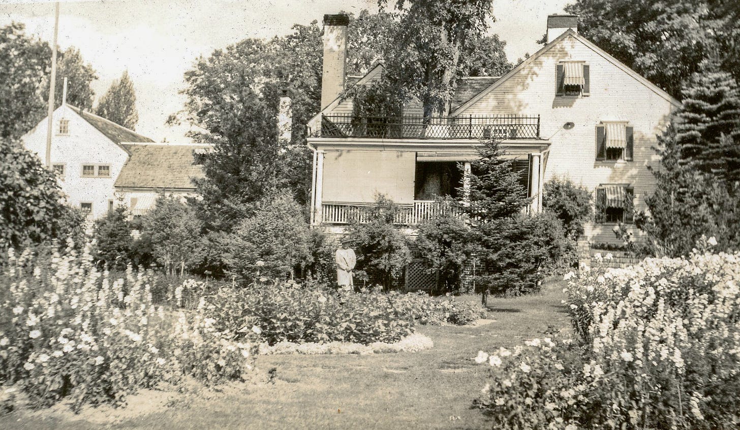 The house