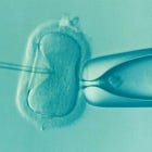 Trump Admin Rebrands Frozen Embryos As 'Children Who Already Exist'