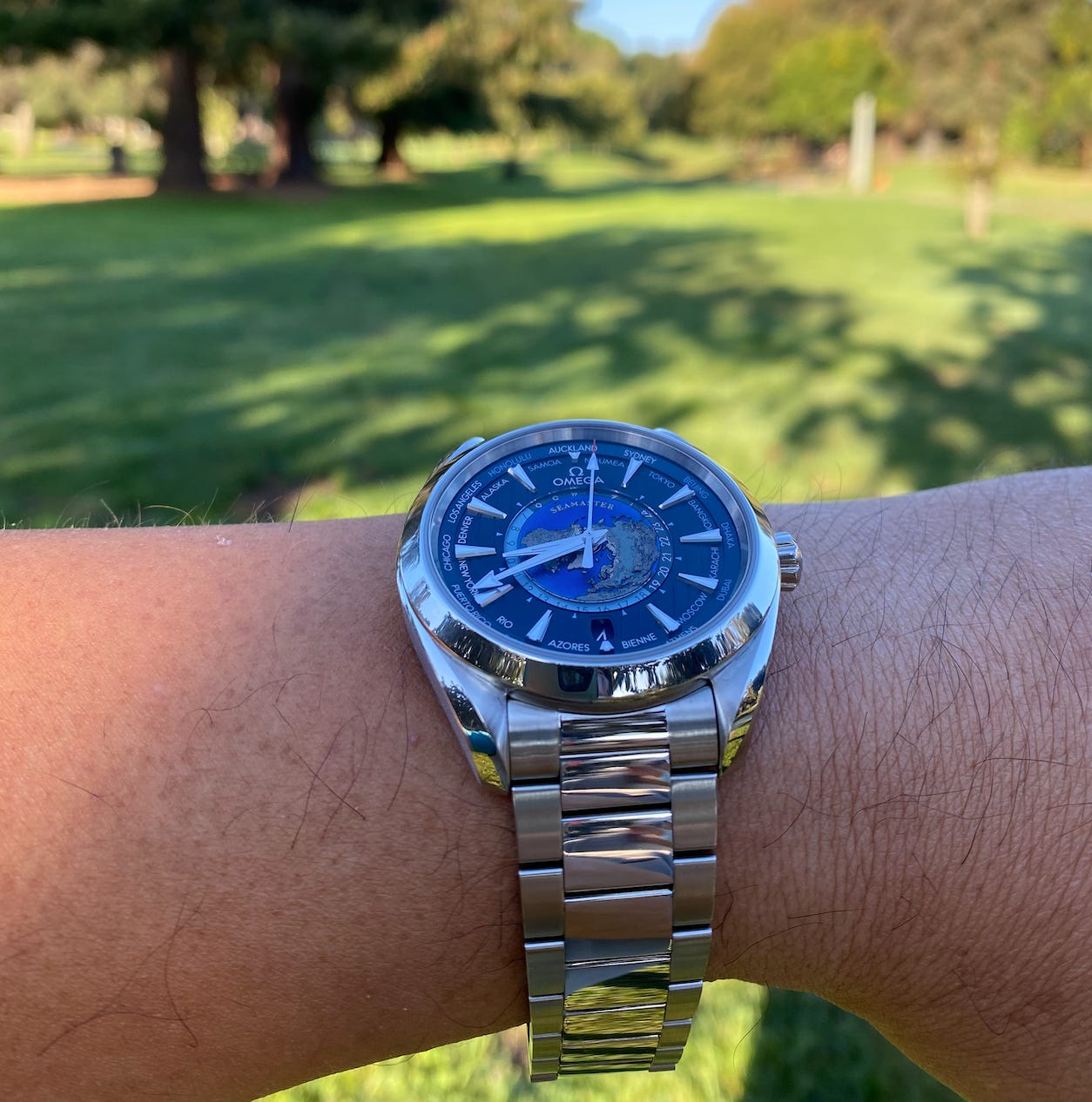 Review: Omega Seamaster Aqua Terra Worldtimer