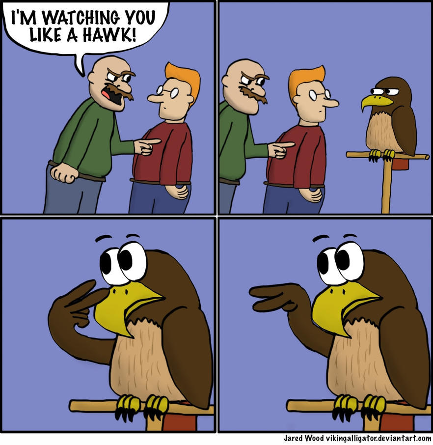 Watching You Like a Hawk by VikingAlligator on DeviantArt