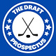 The Draft Prospectus