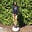 Katie Way's avatar
