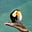 Henry's avatar