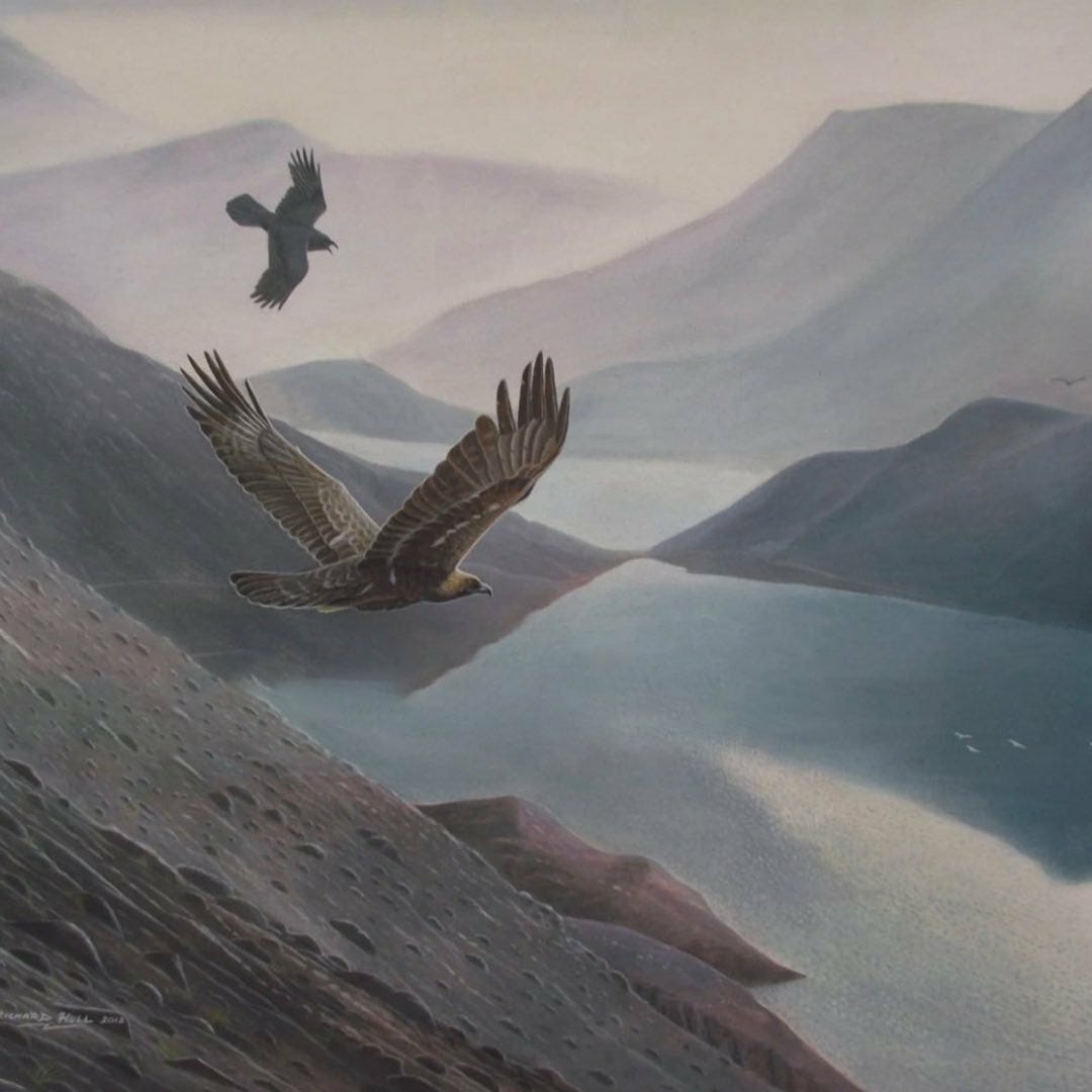 Artwork for HEALWITHOUT