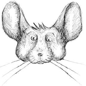 Chinchilla Squeaks