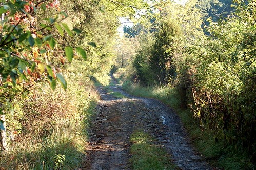 Country Road 2