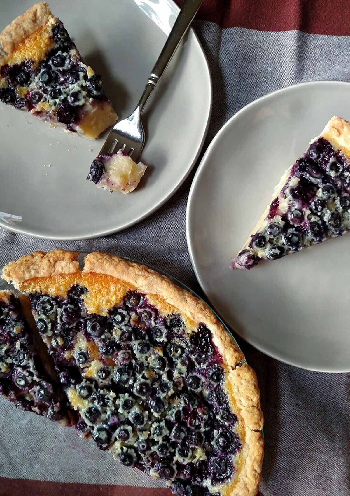Blueberry Custard Pie