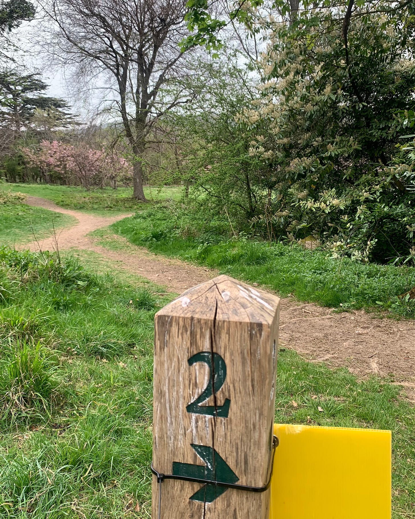 A photo of a trail in a countryside park. A wooden post with a number 2 carved into it and an arrow pointing to the right of frame. The back of a yellow sign is affixed to the post. Behind, a dirt path forks off in two directions. Trees and bushes and grass in the background. 