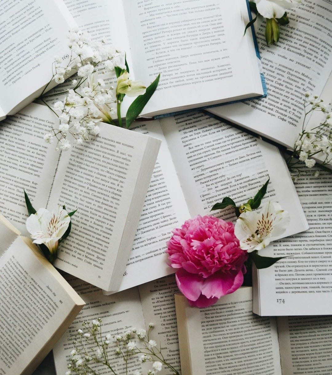 white and pink flowers on white printer paper white and pink flowers on white printer paper