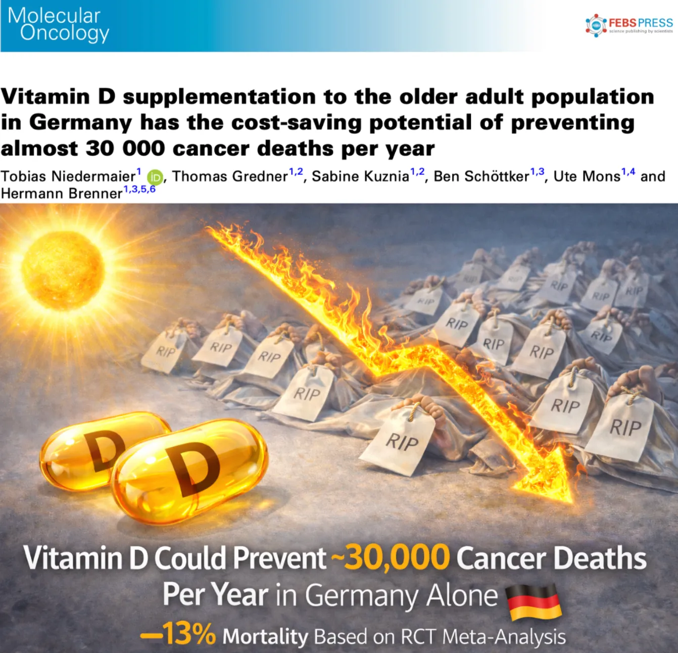 Vitamin D könnte allein in Deutschland jährlich 30’000 Krebstote verhindern