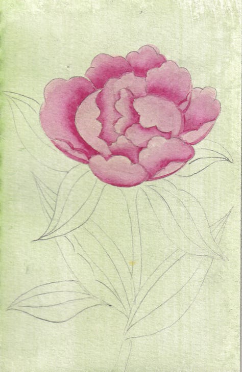 Peony Study by Lily Pond