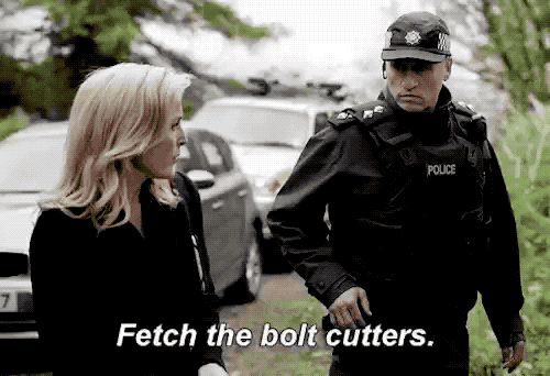 Via Gillian Anderson on Twitter – @fionaapplerocks on Tumblr