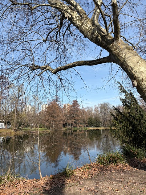 Stoccarda - Anna Sergi (2026)