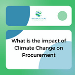 The AI Procurement Blueprint