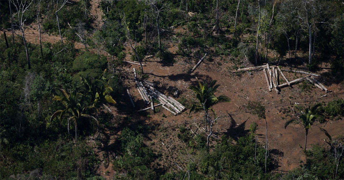 Região desmatada na Amazônia, vista de cima