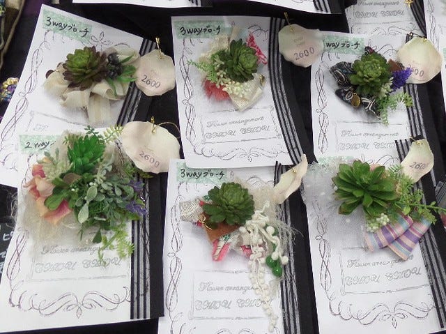 Succulent Brooches Succulent Brooches