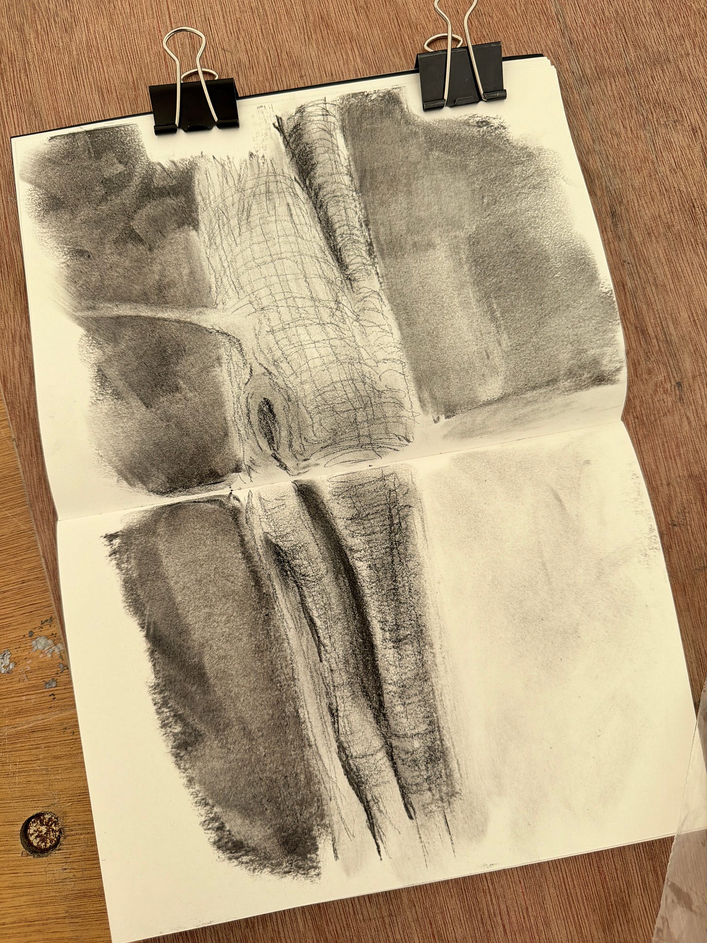 A charcoal drawing made by me of the trunk of a yew tree