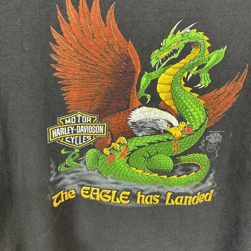 A green dragon and eagle on a black shirt

AI-generated content may be incorrect.