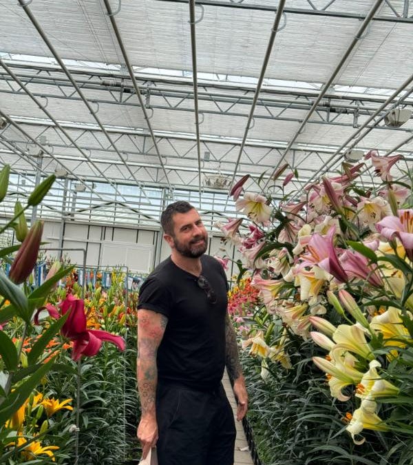 26 lilies you need to know now - by Mr Plant Geek 26 lilies you need to know now - by Mr Plant Geek