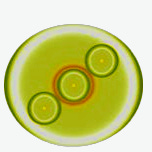 Winning Product /  Winning Startup