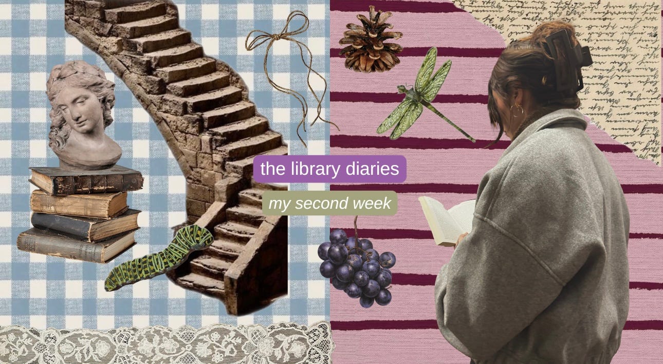 "The Library Diaries: My Second Week" text over colorful collage