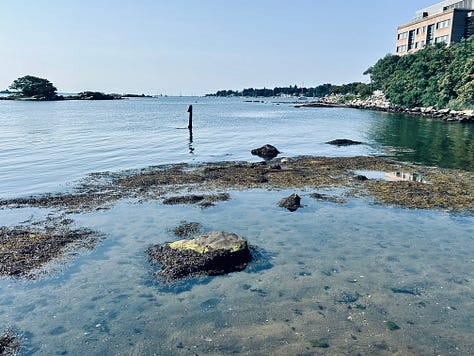 rocks, water, sky, grass, fort, building