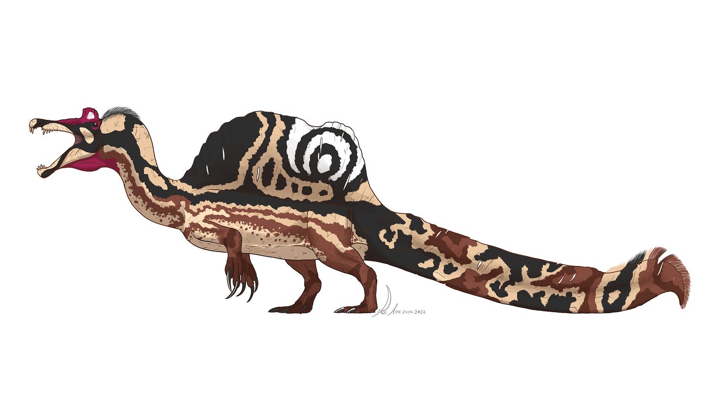 Ficheiro:Oxalaia quilombensis by PaleoGeek.png – Wikipédia, a enciclopédia  livre