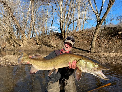 angler with large permit standing in the water