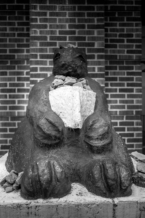 football stadium and campus mascot