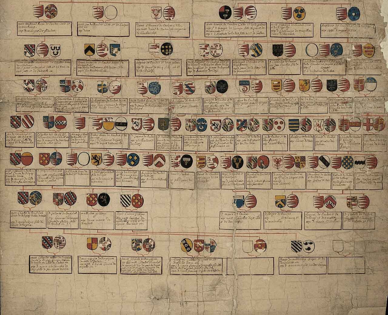 Parchment showing genealogy of a Flemish family Parchment showing genealogy of a Flemish family