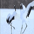 Accountability Is Coming. Tabs, Fri., Jan. 16, 2025