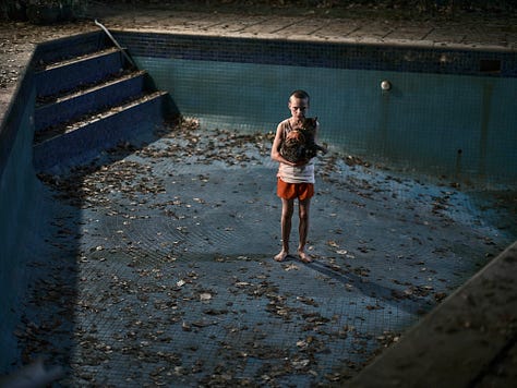 Stills from three new release films: The Phoenician Scheme, Bring Her Back, Mountainhead.