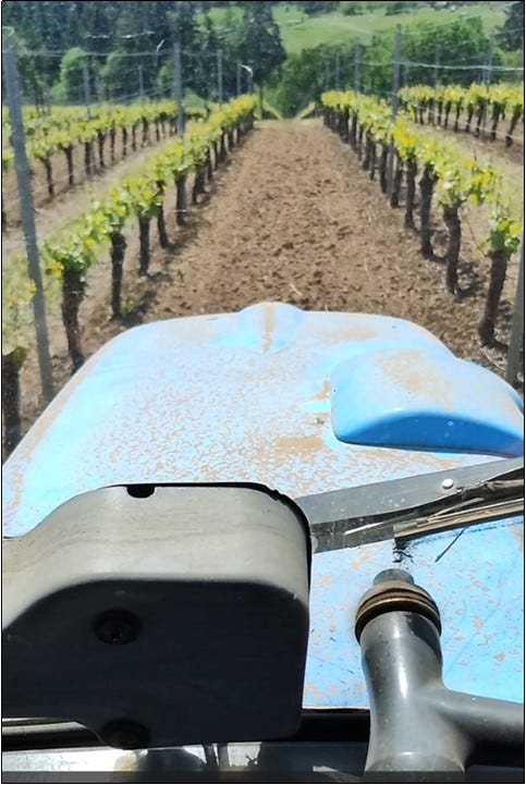 Click to see Ernie's view from the tractor seat while preparing the soil.