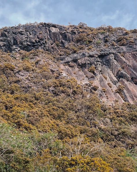 Gallery (3 images) - Image 1: Top-down view of my dark outfit and shoes, surrounded by faded yellow cherry blossom petals. Image 2: Hill in Holyrood Park, captured from a distance. Image 3: Close-up of the same hill, showing textured rock and greenery.