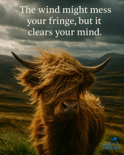 May be an image of text that says "The wind might mess your fringe, but it clears your mind. つ LOVE SCOTLAND"