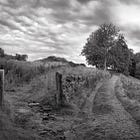 Wide Open: Discovering My Love for the Panoramic Frame