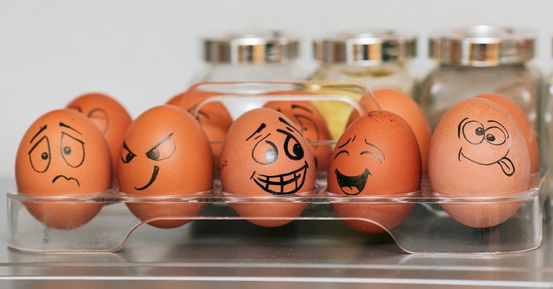 orange and white egg on stainless steel rack orange and white egg on stainless steel rack