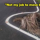 The upcoming 2024 bloodbath in SaaS