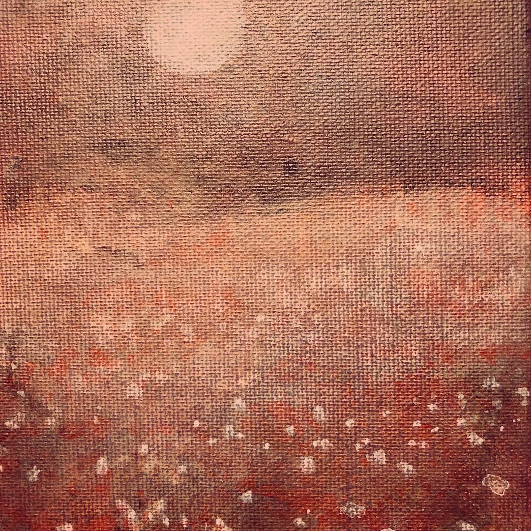 The field of Ardath in bloom