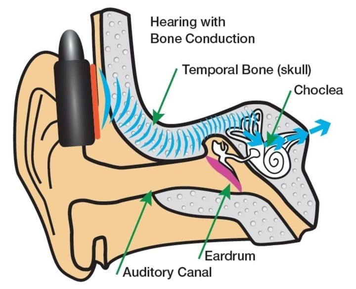 The cheekbones carry sound directly to the inner ear, keeping the ear canal open. This is how bone conduction technology works