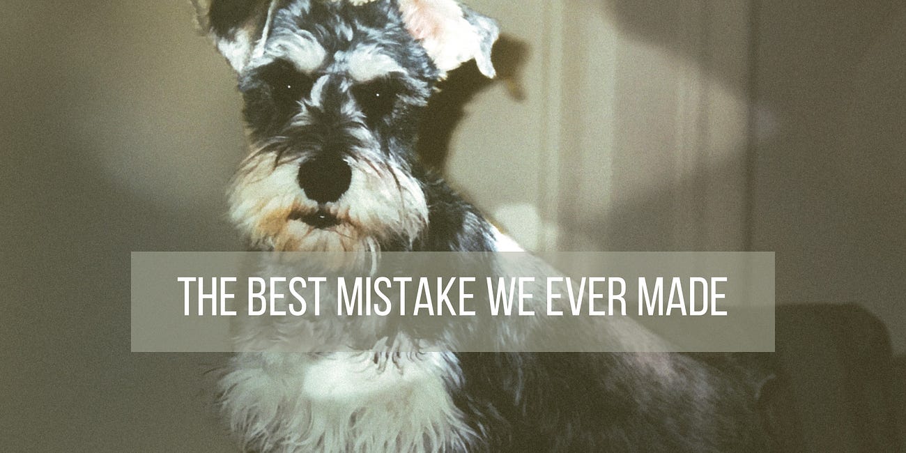 The Best Mistake We Ever Made
