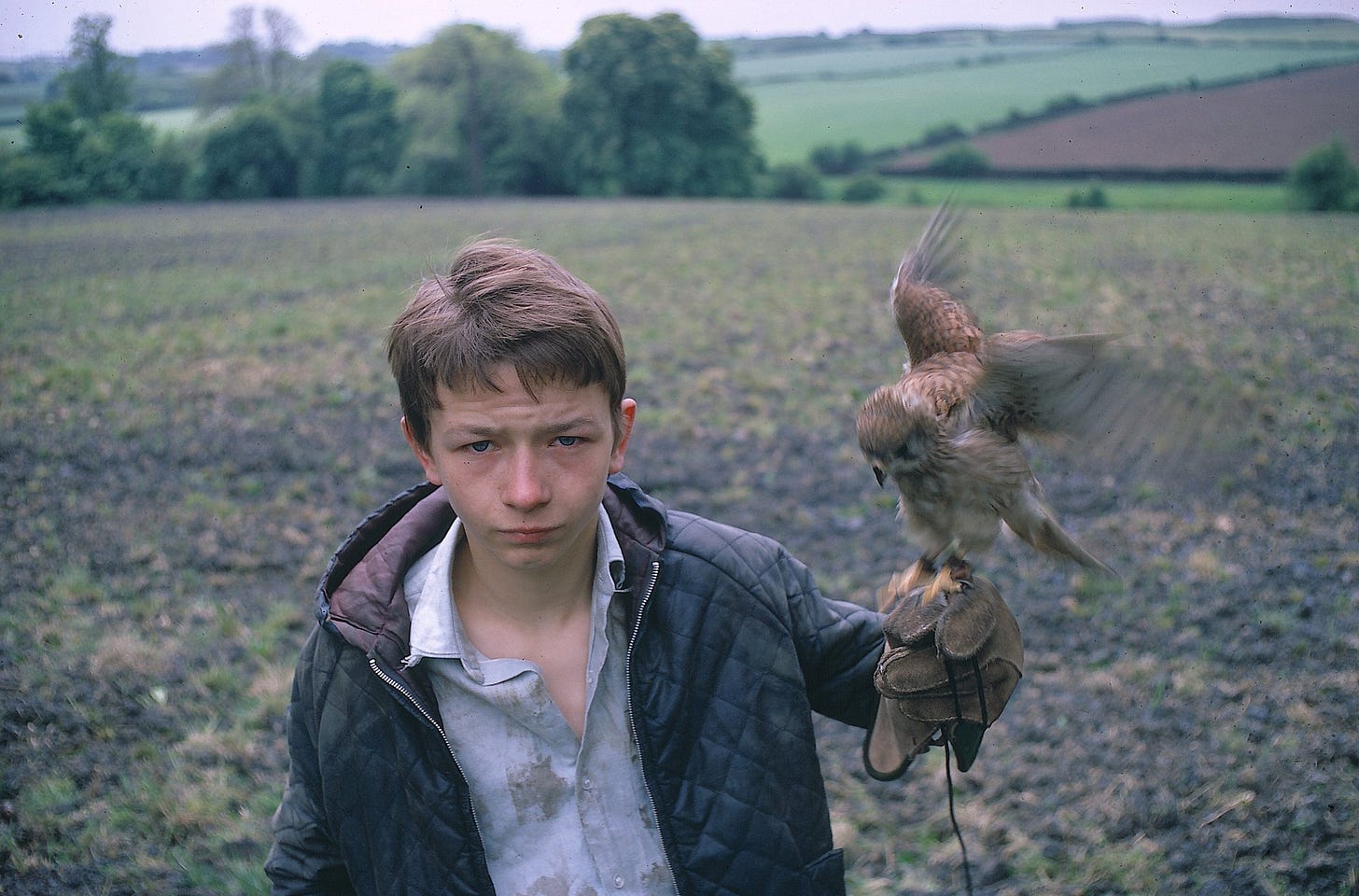 Kes (1969) - IMDb