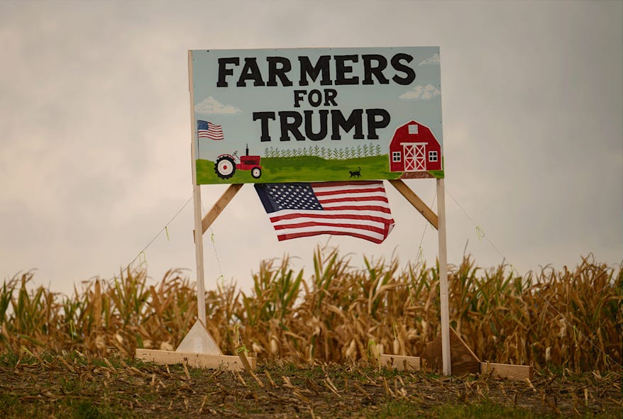 A sign saying Farmers for Trump with a US flag in a cornfield