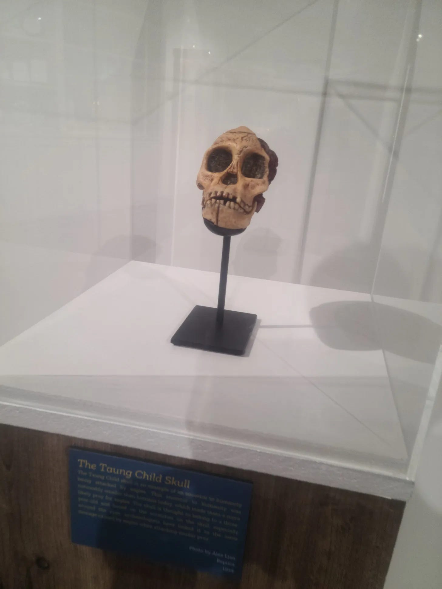 Kids, this a great photo to show your parents if you want to stay inside and play video games